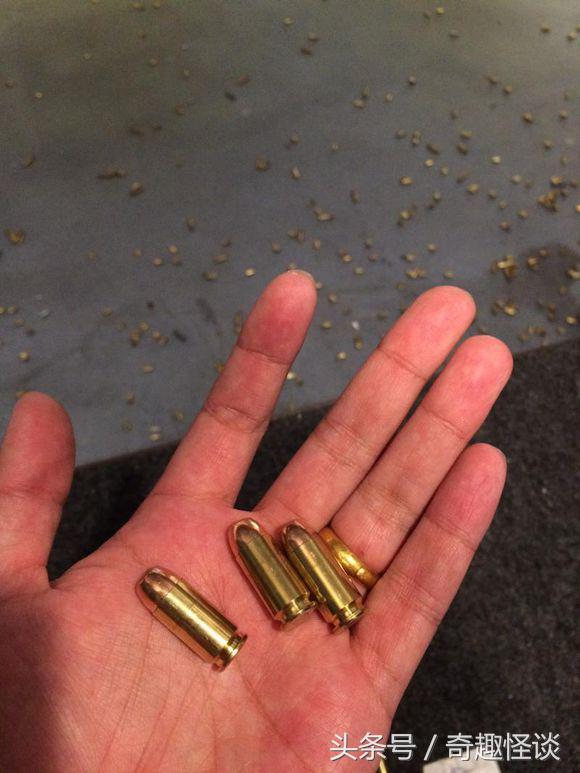 在美国旅游日常,在美国旅游攻略大全最新