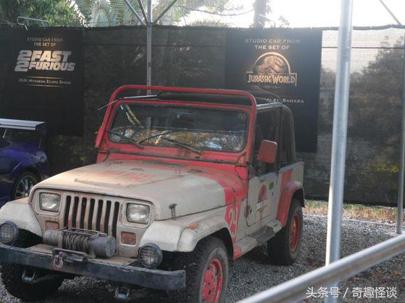 在美国旅游日常,在美国旅游攻略大全最新