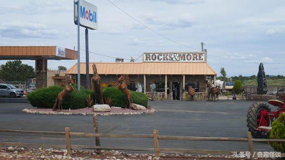 在美国旅游日常,在美国旅游攻略大全最新