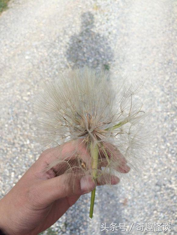 在美国旅游日常,在美国旅游攻略大全最新