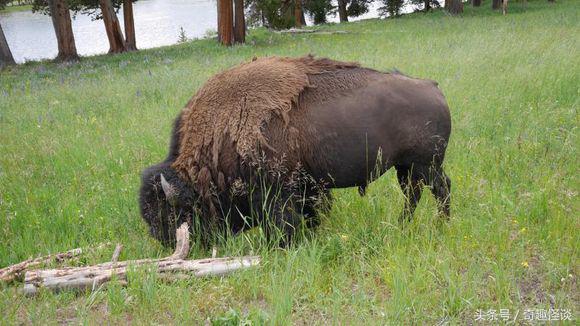 在美国旅游日常,在美国旅游攻略大全最新