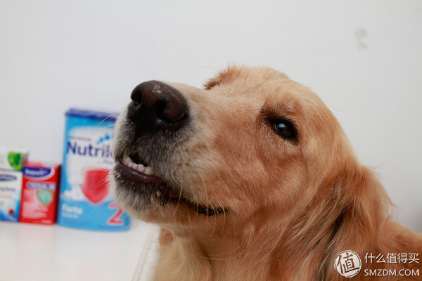 备孕婚前体验,备孕亲身经历和感受