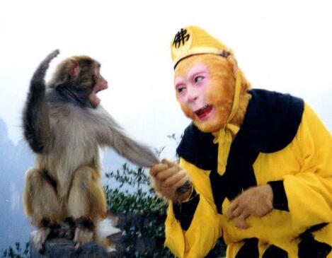 鍏皬榫勭姣嶄翰杩戝喌,鍏皬榫勭姣嶄翰鐜扮姸