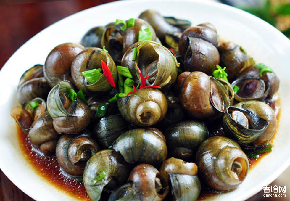 去梧州该吃什么？