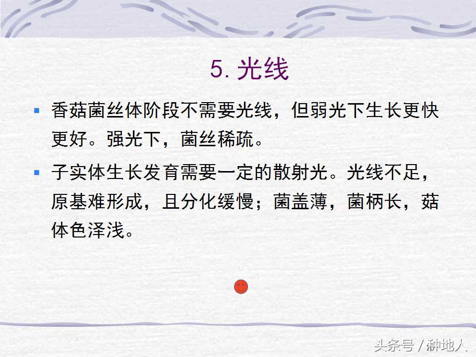 香菇栽培实用技术教案,屋顶香菇栽培