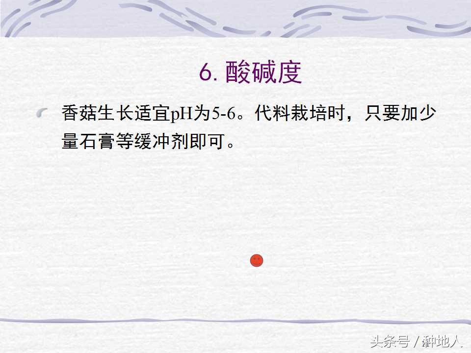 香菇栽培实用技术教案,屋顶香菇栽培