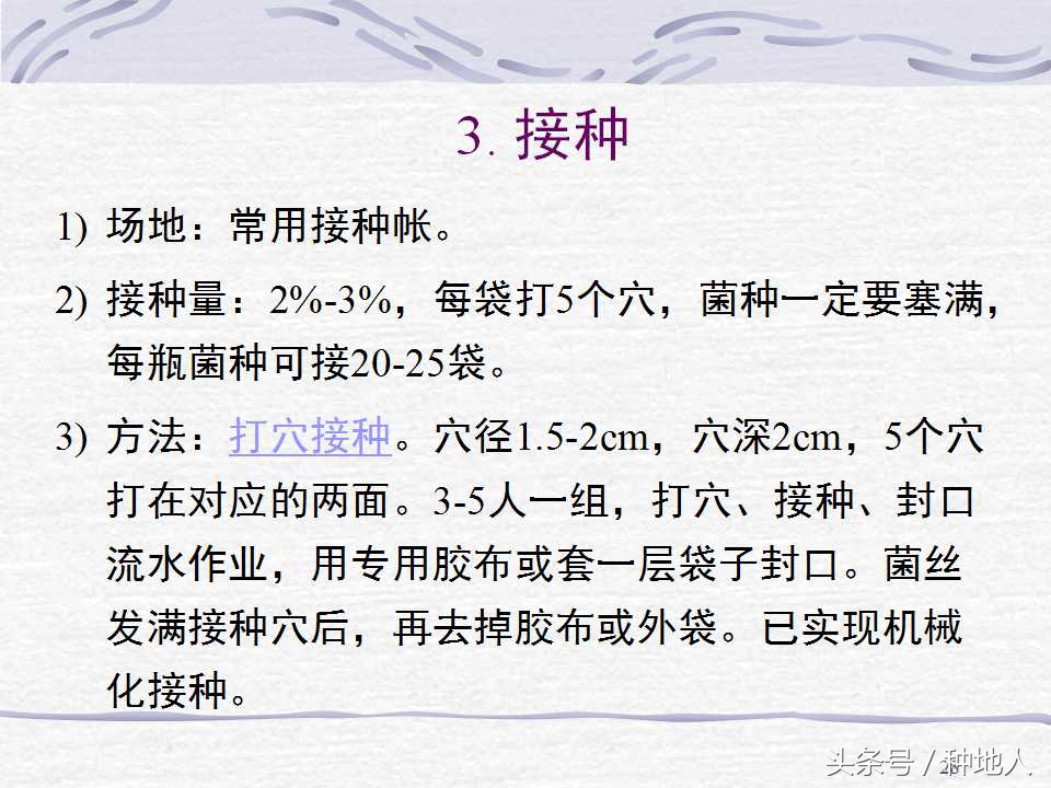 香菇栽培实用技术教案,屋顶香菇栽培