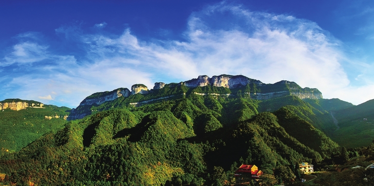 金佛山一日游从哪个门进好点,金佛山旅游攻略二天一夜