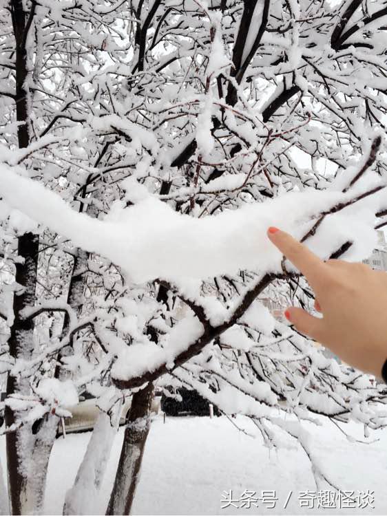 俄罗斯留学生涯,俄罗斯留学一年多少钱