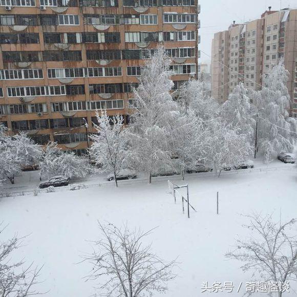 俄罗斯留学生涯,俄罗斯留学一年多少钱