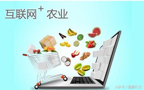 健康小镇创业项目,2020政府大健康创业项目