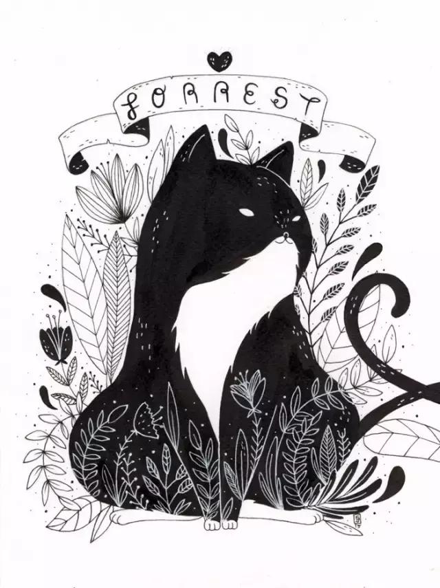 插画魔卡少女樱,插画少女和猫图片