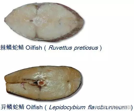 揭秘[海鲜中的李逵和李鬼们]之银鳕鱼。迄今最全最专业贴