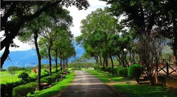 台湾初鹿牧场,台湾初鹿牧场在哪里