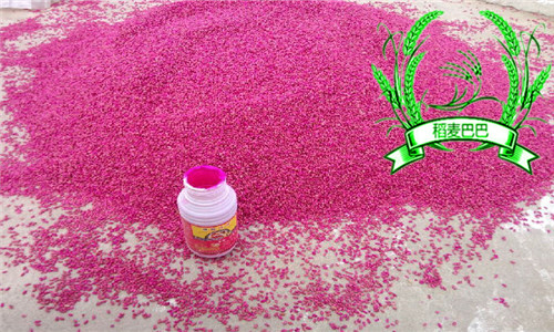 小麦拌种防病治虫高产管理技术,小麦一喷三防确保农民有个好收成