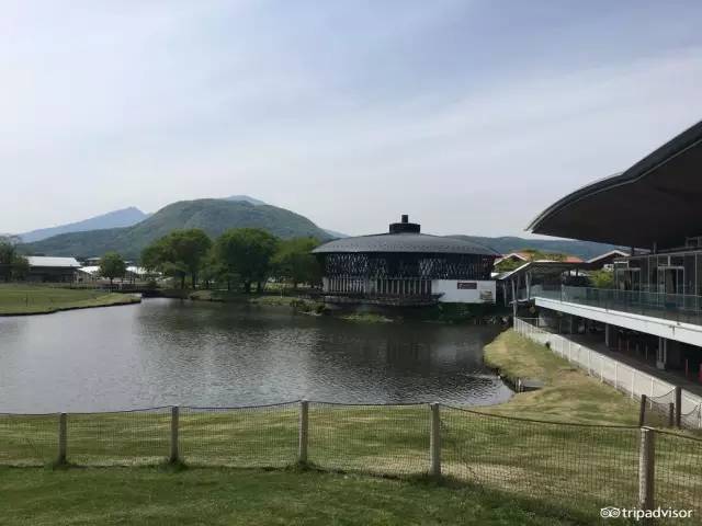 去日本购物怎么买便宜的东西,去日本购物攻略网站