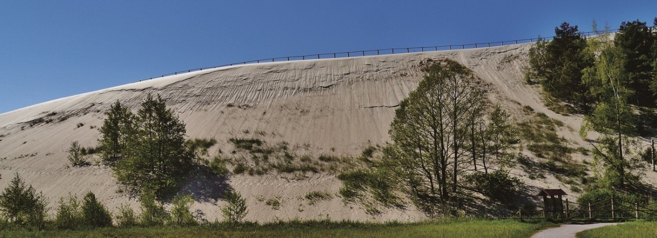 库尔斯沙嘴森林,库尔斯沙嘴对立陶宛的影响