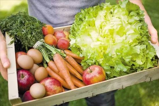 转基因食品该不该吃,转基因食物吃还是不吃