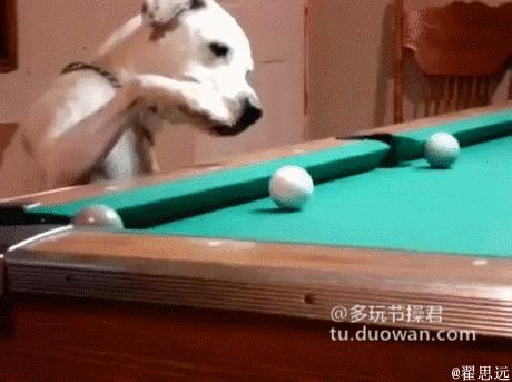 萌妹子搞笑动态图,小女孩萌萌的搞笑动态图