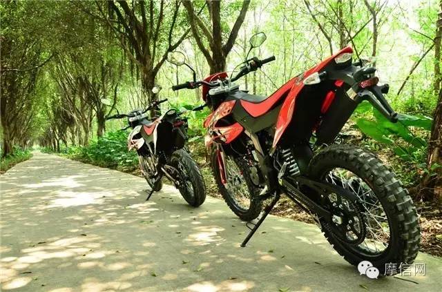 摩信网官网手机版,摩信网手机版