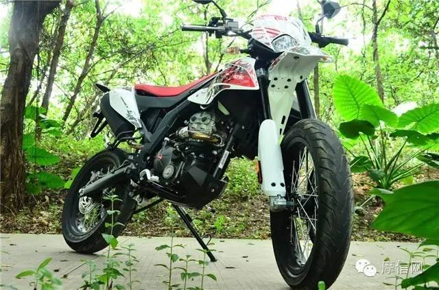 摩信网官网手机版,摩信网手机版