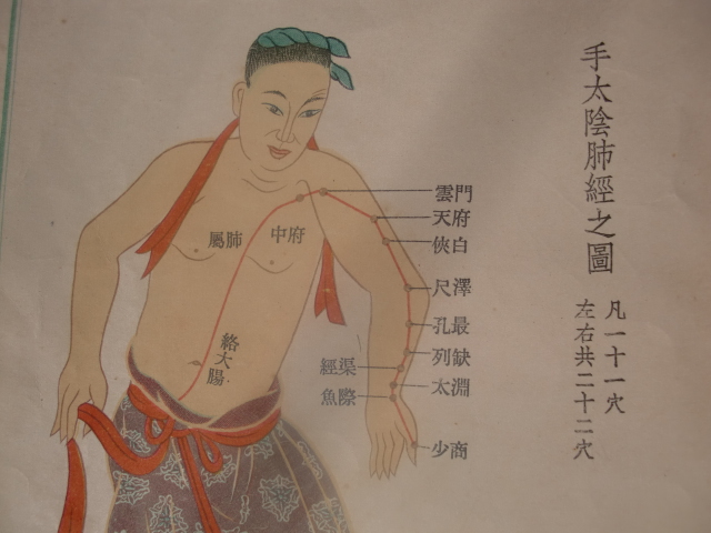 拍打胸肩胳膊打通肺经,拍打手臂通气血