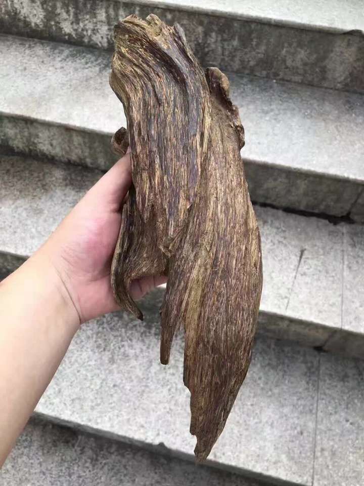 沉香人工结香和野料区别,沉香怎么区分才是好沉香