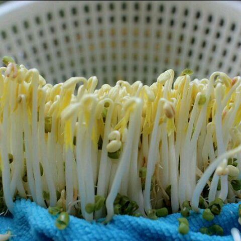 这道便宜菜补钙有奇效,治疗脱发的菜