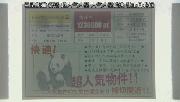 女明星不当演员能干吗？出书、拿大奖、走上人生巅峰不是不可能！