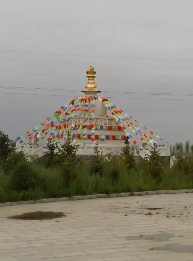 自驾川西带金毛,长途自驾带金毛