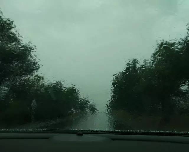 自驾川西带金毛,长途自驾带金毛