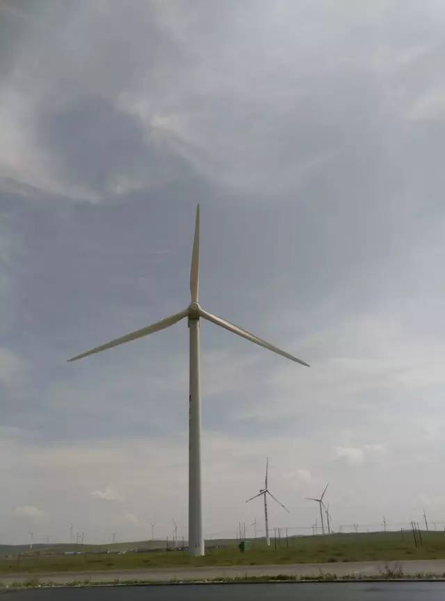 自驾川西带金毛,长途自驾带金毛