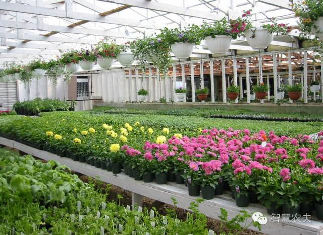 生态餐厅大棚用地,生态餐厅温室大棚配套设施