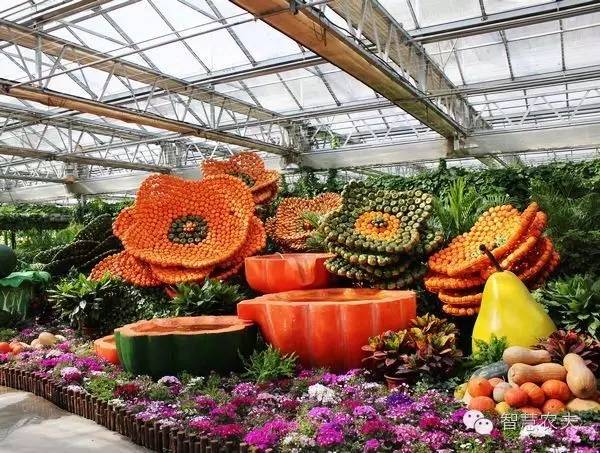 生态餐厅大棚用地,生态餐厅温室大棚配套设施