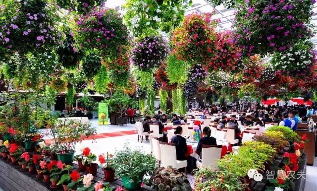 生态餐厅大棚用地,生态餐厅温室大棚配套设施