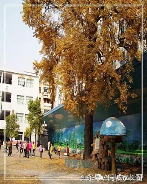 扬州育才小学和扬州梅岭小学,汶河小学和梅岭哪个好