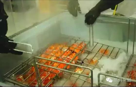 海鲜陆冻和船冻,船冻海鲜好还是鲜活海鲜好
