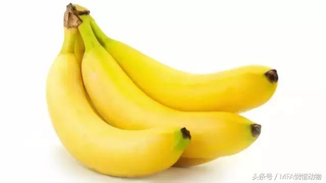 支气管哮喘秋天怎么调理 (季节性哮喘怎么治到秋天就犯病)