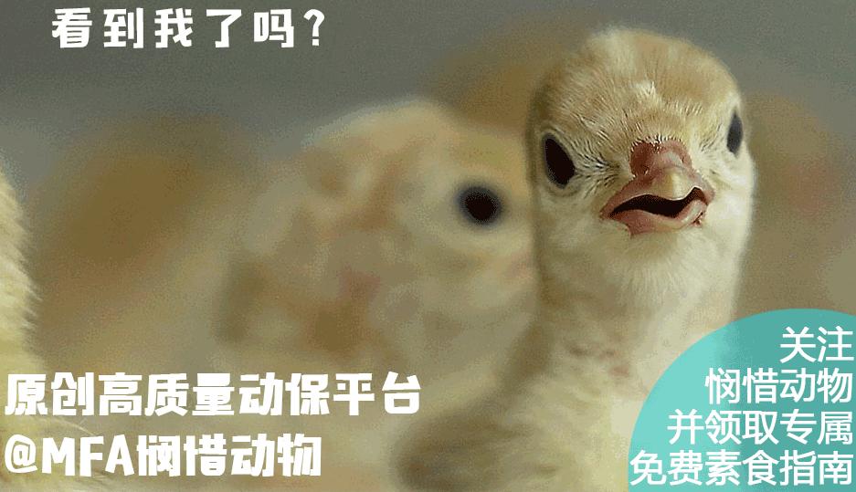 支气管哮喘秋天怎么调理 (季节性哮喘怎么治到秋天就犯病)