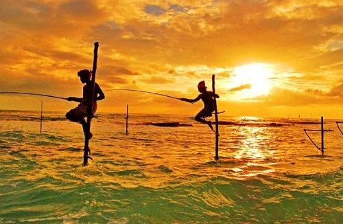 出国游斯里兰卡,出境游斯里兰卡