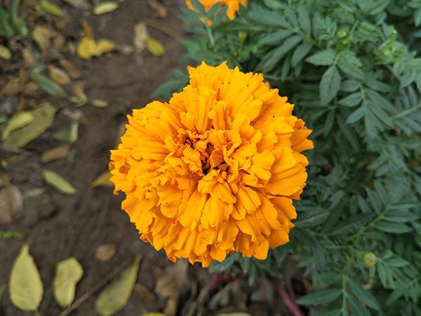 oppor9s用三年充电测试,oppor9实测充电5分钟