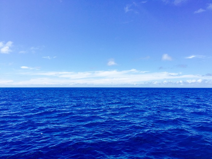 帕劳的海寻找海洋中最美的风景,帕劳是个与世隔绝的海岛