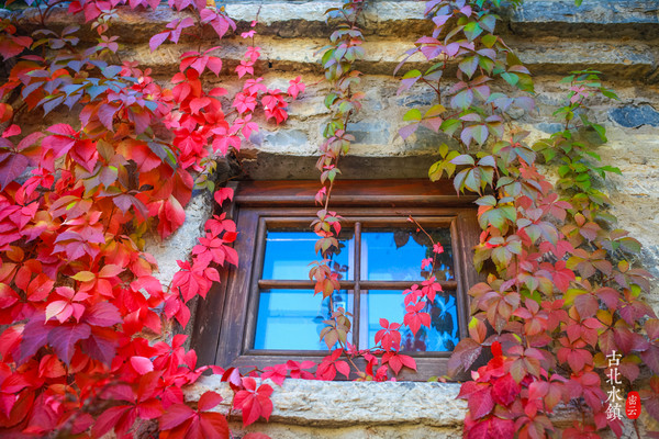 北京约泡|长城脚下的温泉小镇—古北水镇