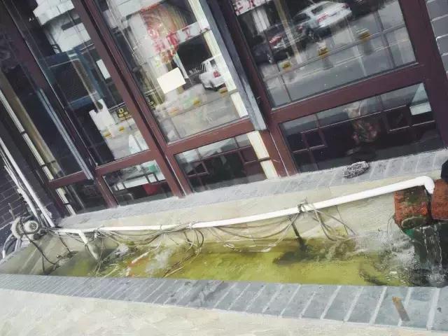 阴雨天喝碗鱼汤的说说心情,下雨天喝鱼汤好不好