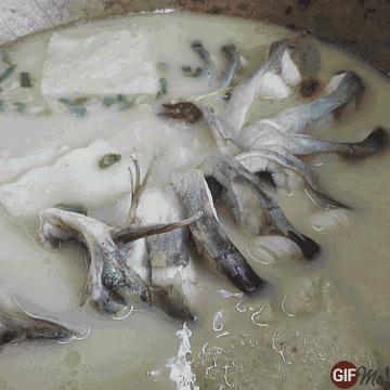 阴雨天喝碗鱼汤的说说心情,下雨天喝鱼汤好不好