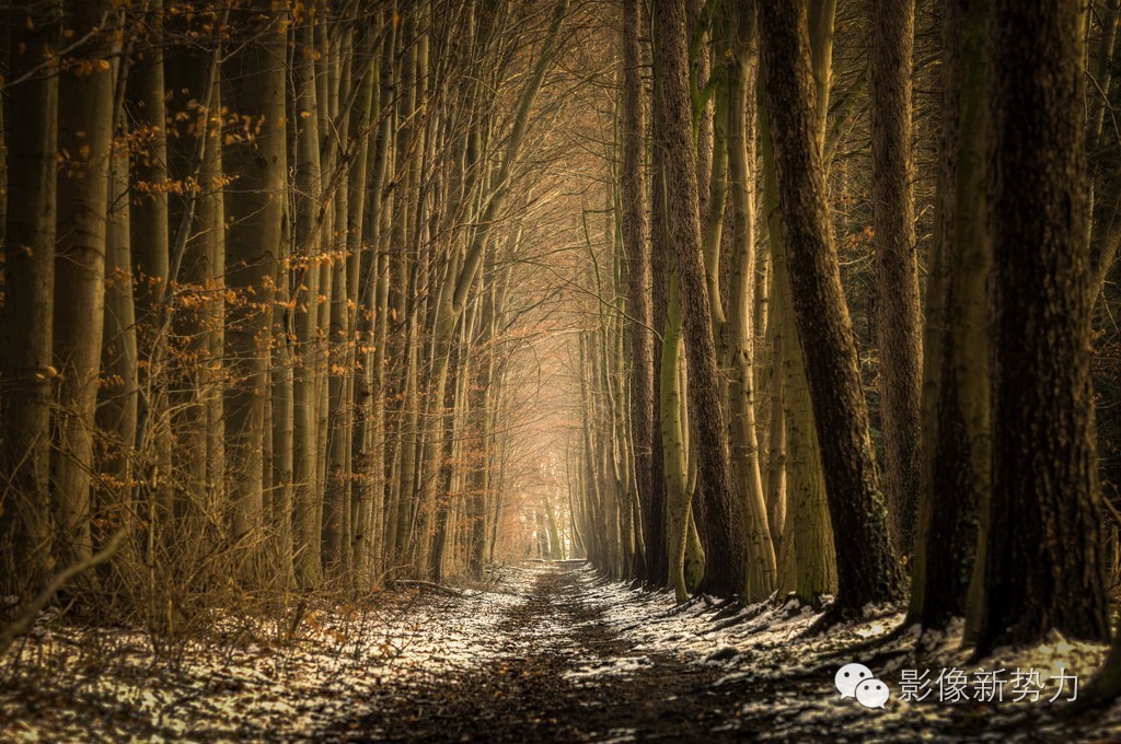 最值得买的腾龙镜头,腾龙有哪几款很好的老镜头