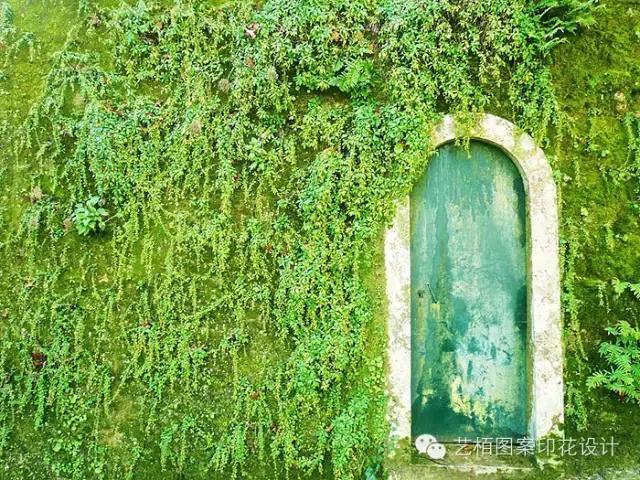 五花八门在哪里,真正的五花八门在哪里