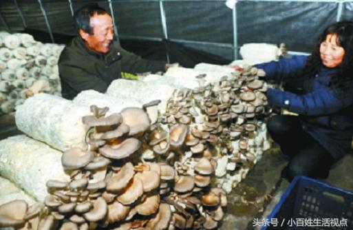 农村的十种最赚钱的小生意,农村致富的10个门路