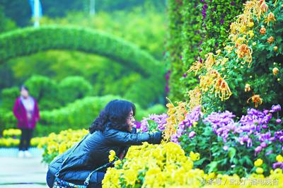 武汉电动车上牌照的标准,武汉国标电动车管理办法