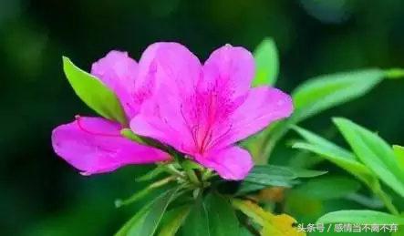 打工幽默顺口溜句子,卖货搞笑顺口溜经典句子